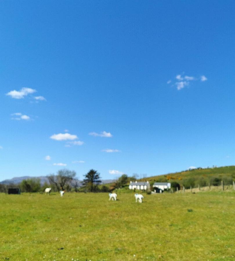 New Listing - Ladybird Cottage - Donegal - Wild Atlantic Way Donegal Town المظهر الخارجي الصورة