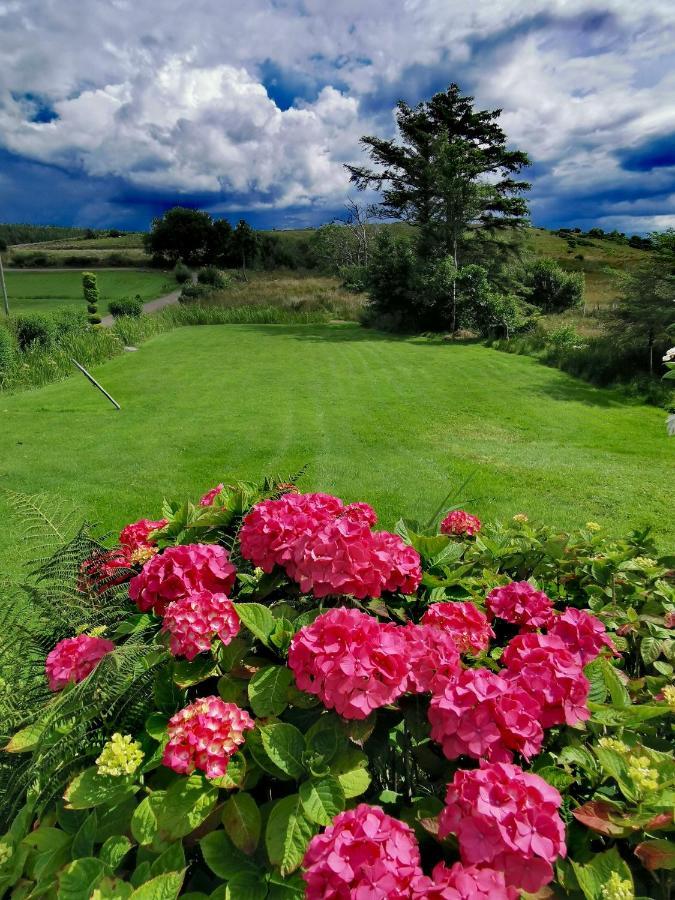 New Listing - Ladybird Cottage - Donegal - Wild Atlantic Way Donegal Town المظهر الخارجي الصورة