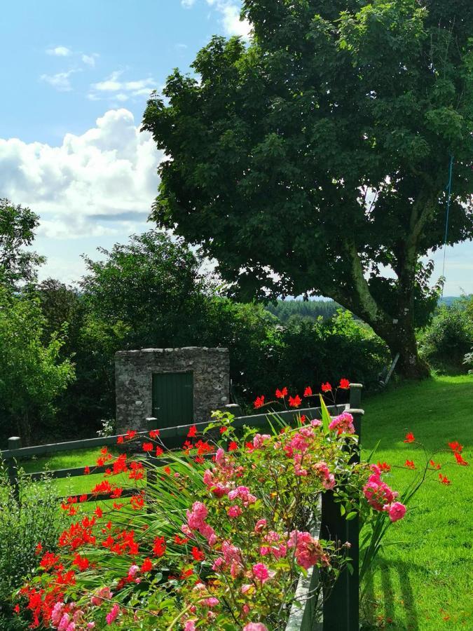 New Listing - Ladybird Cottage - Donegal - Wild Atlantic Way Donegal Town المظهر الخارجي الصورة