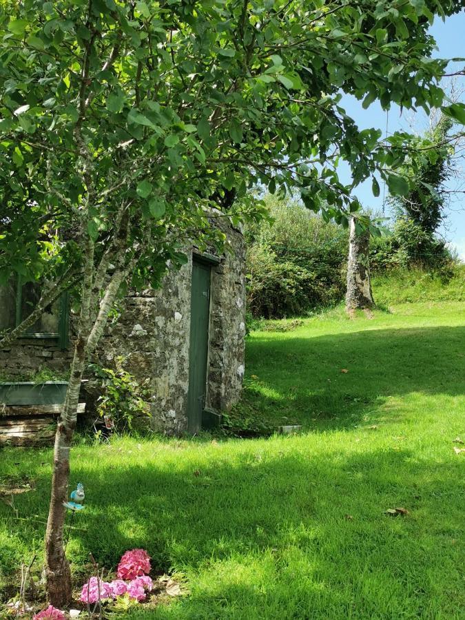 New Listing - Ladybird Cottage - Donegal - Wild Atlantic Way Donegal Town المظهر الخارجي الصورة