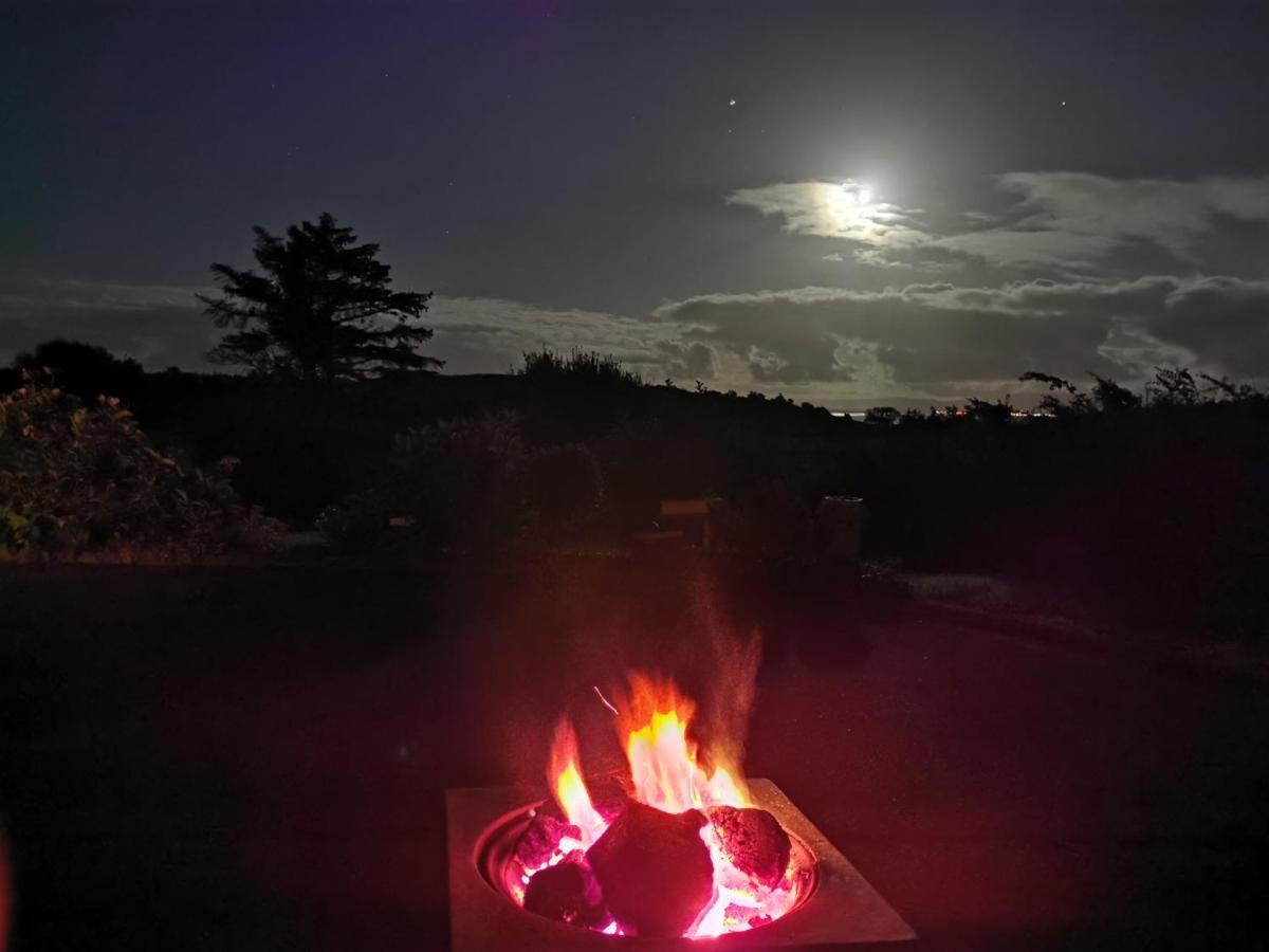 New Listing - Ladybird Cottage - Donegal - Wild Atlantic Way Donegal Town المظهر الخارجي الصورة