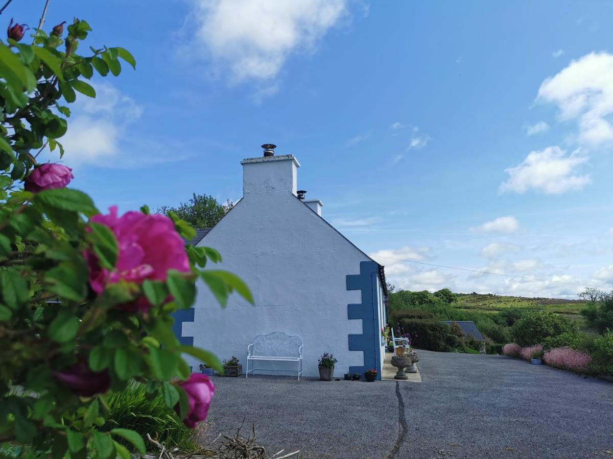New Listing - Ladybird Cottage - Donegal - Wild Atlantic Way Donegal Town المظهر الخارجي الصورة